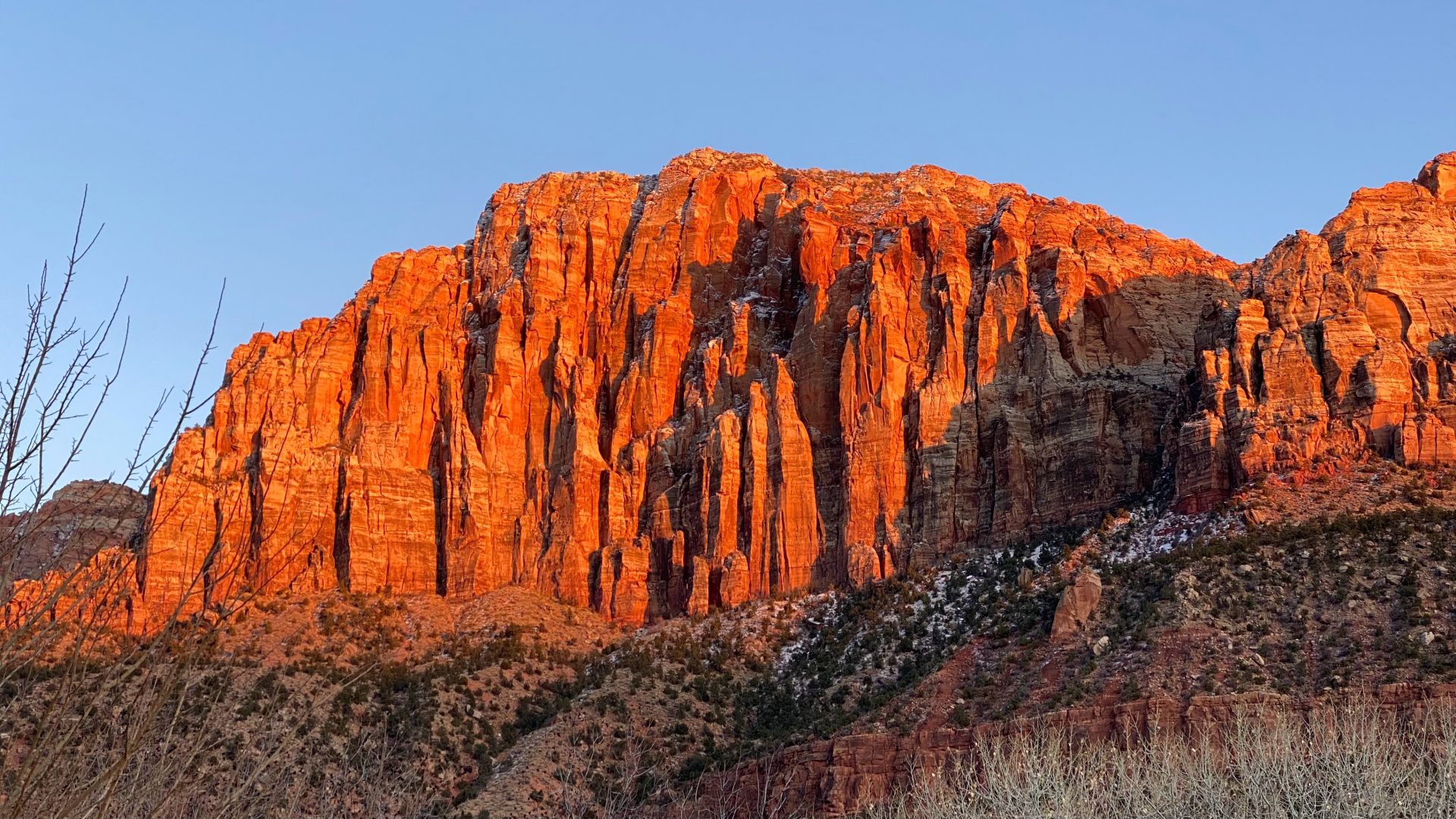 5 Reasons to Visit Zion National Park in the Winter