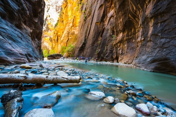 Shuttle and Permits at Zion National Park