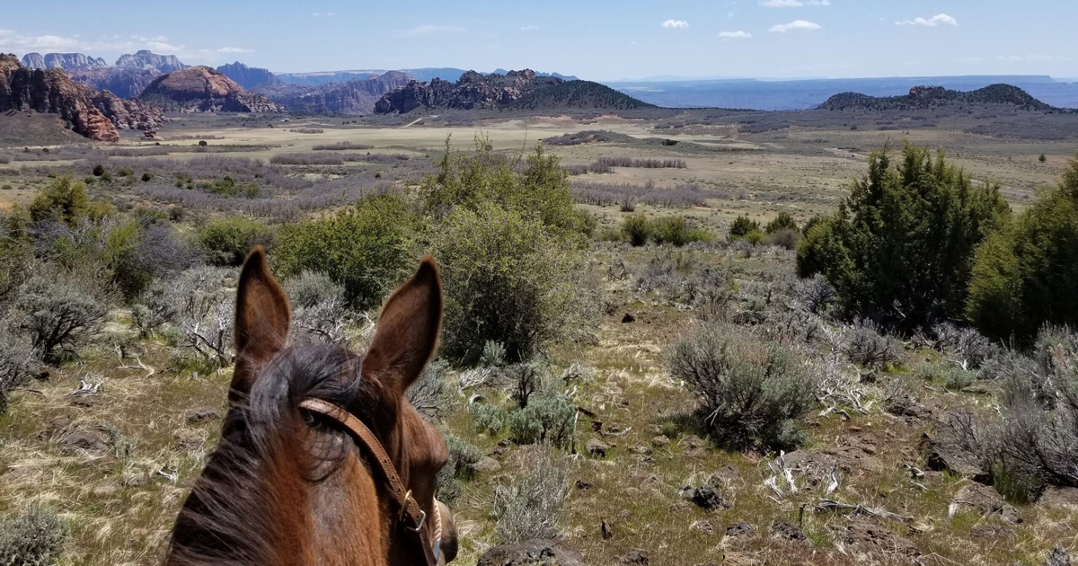 Horseback Rides through Dixie National Forest and Zion National Park
