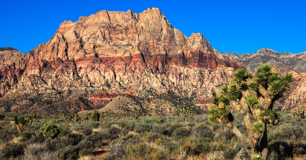Red Cliffs Natural Conservation Area