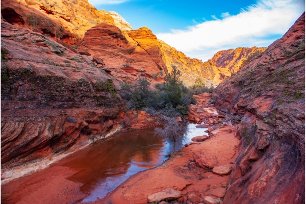 Snow Canyon State Park