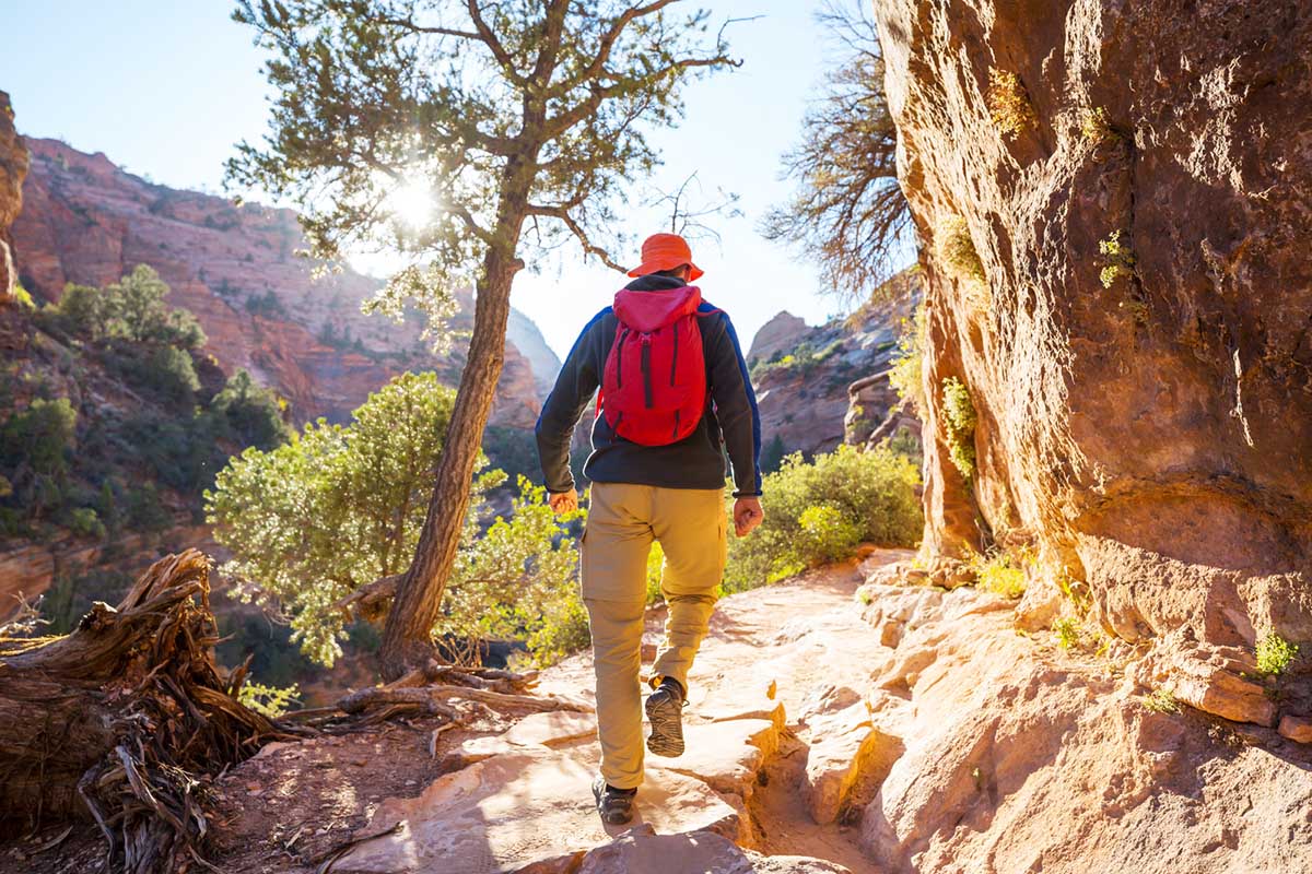 Things to do in St George