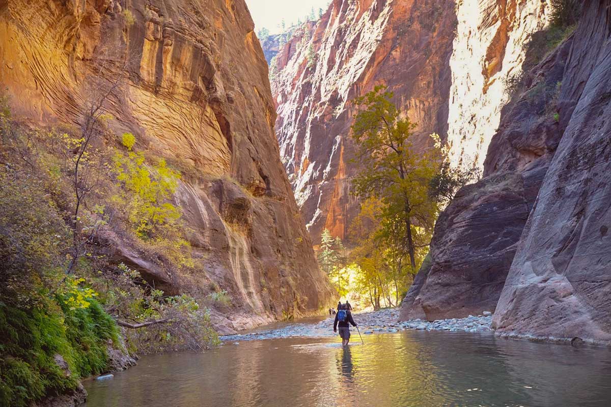 visit Zion National Park