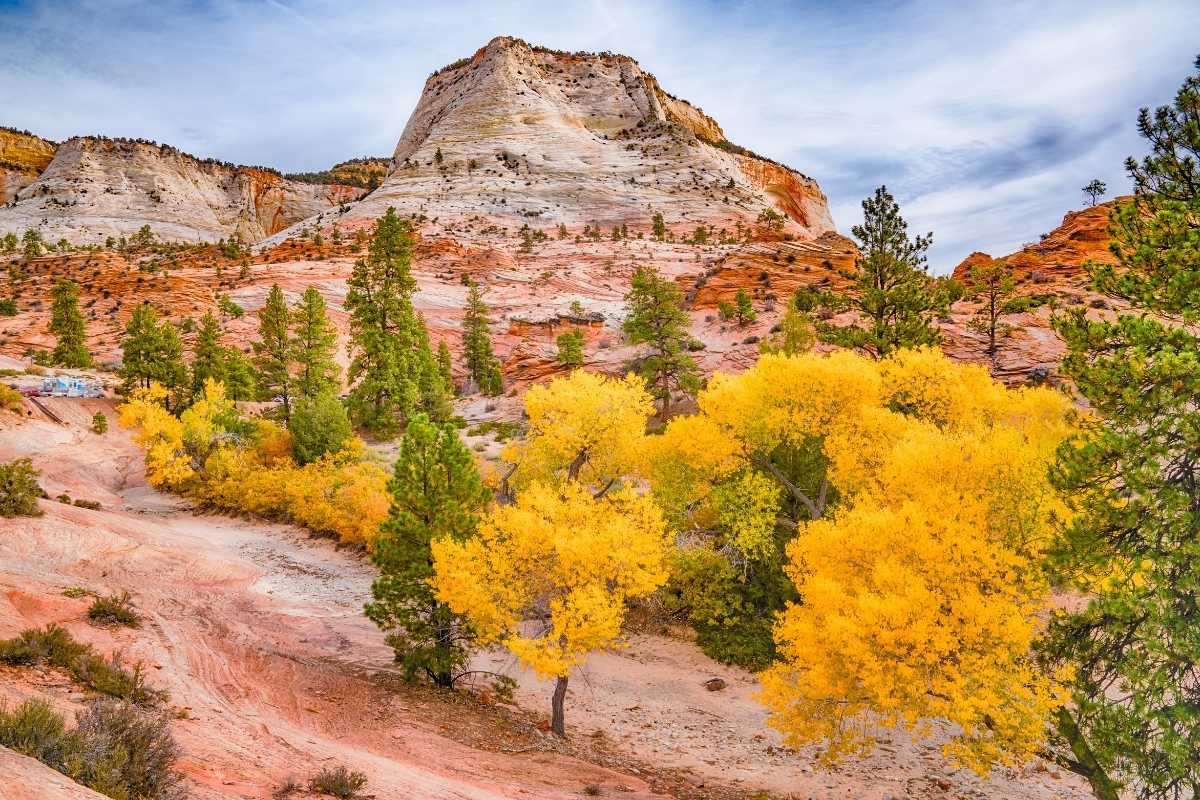 Fall In Focus: Zion River Resort’S Most Golden Season